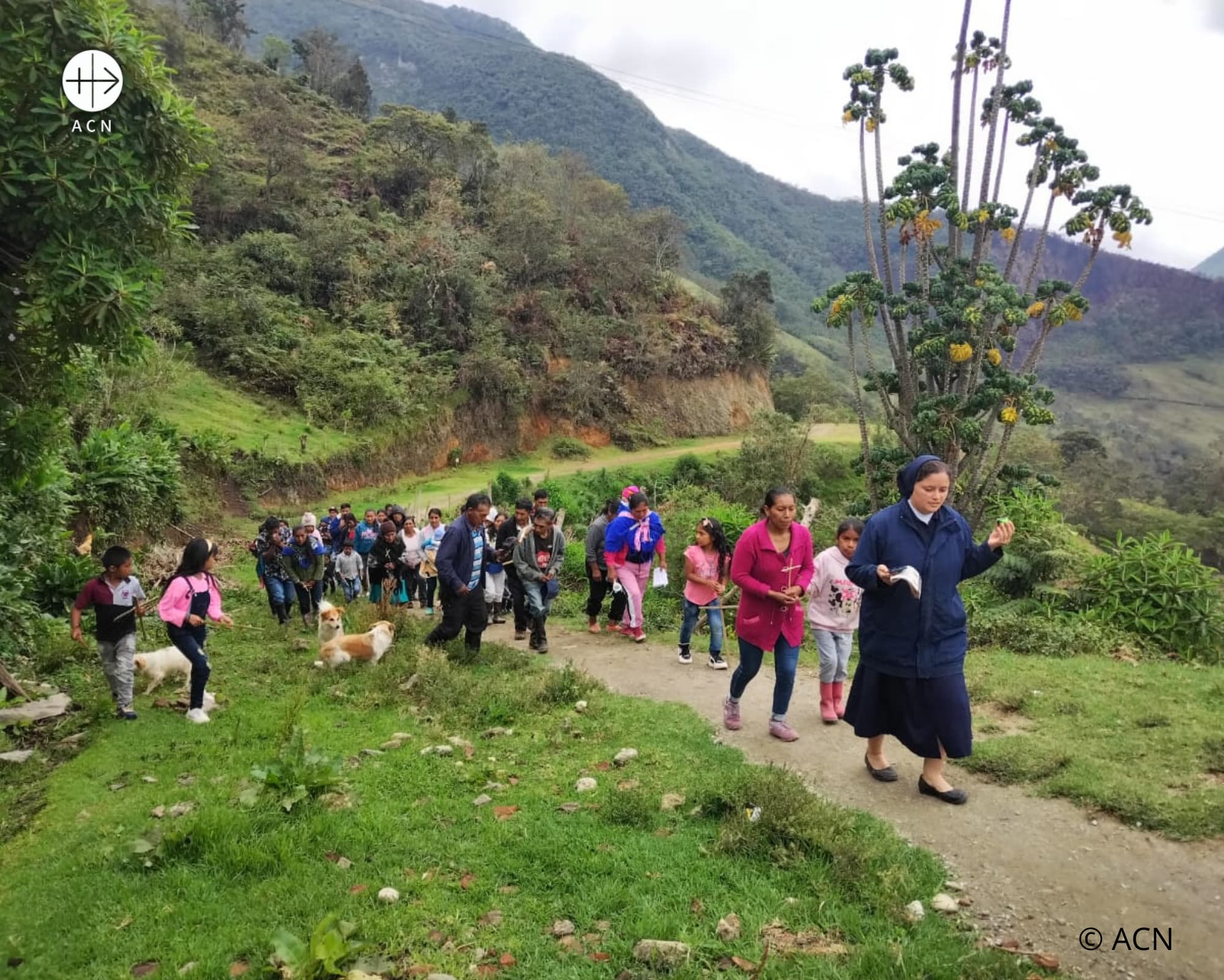 ACN Project of the Week – Colombia – ACN Canada